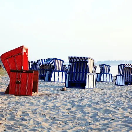 Muschelsucher 펜션 *