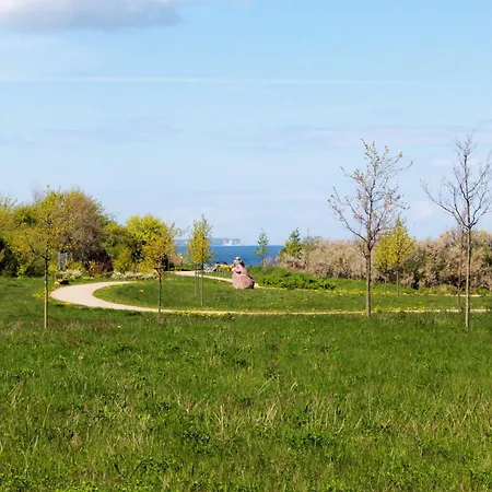 Muschelsucher * 글로페