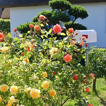 Muschelsucher 펜션